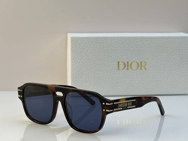 Dior Sunglasses Top Quality DIS03239