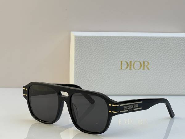 Dior Sunglasses Top Quality DIS03240