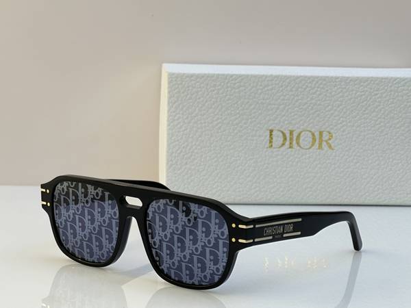 Dior Sunglasses Top Quality DIS03242