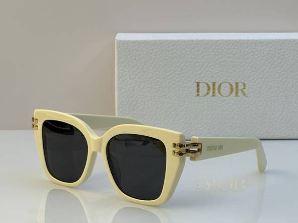 Dior Sunglasses Top Quality DIS03248