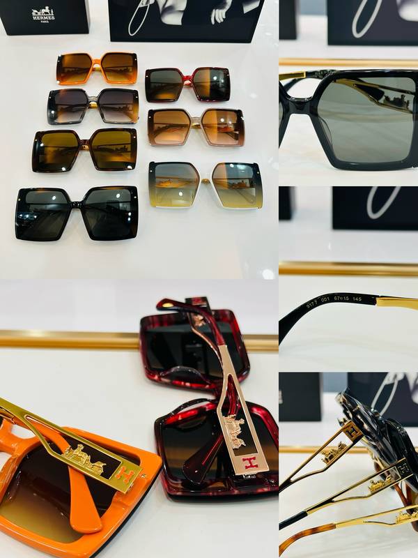 Hermes Sunglasses Top Quality HMS00088