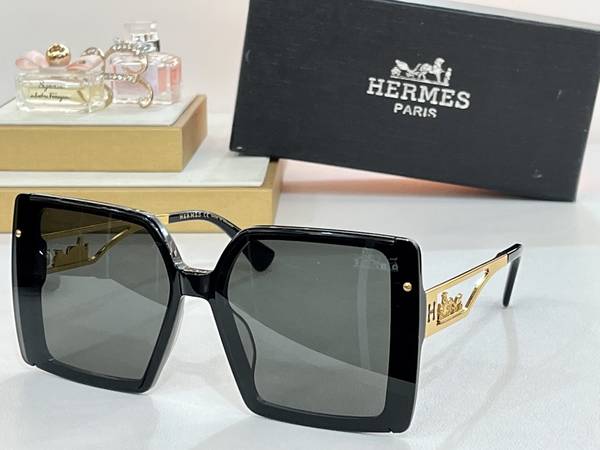 Hermes Sunglasses Top Quality HMS00118
