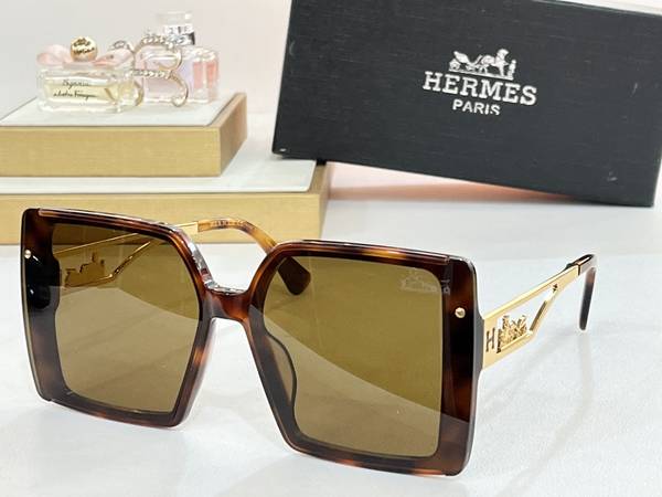 Hermes Sunglasses Top Quality HMS00120
