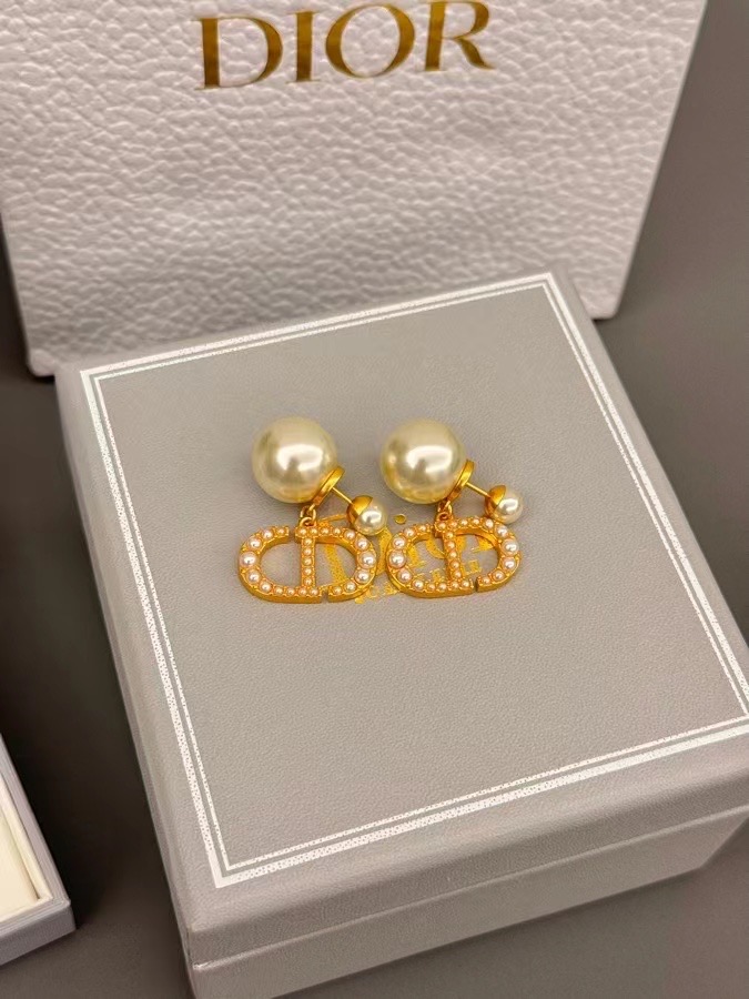 Dior Earrings CE14112