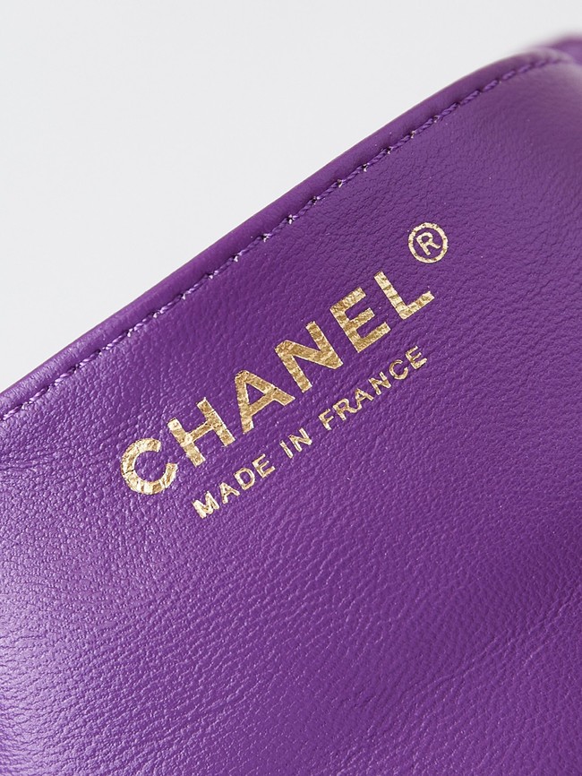 Chanel 24A SMALL HOBO HANDBAG AS4922 Purple