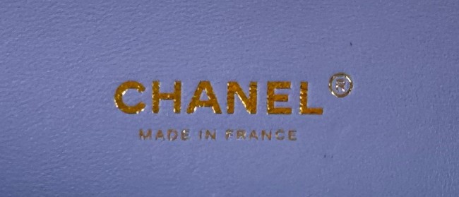 Chanel CLASSIC HANDBAG AS01112-6