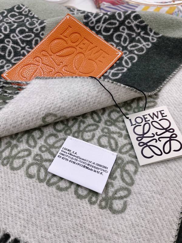 Loewe Cloak LOC00071 Loewe Cloak LOC00071