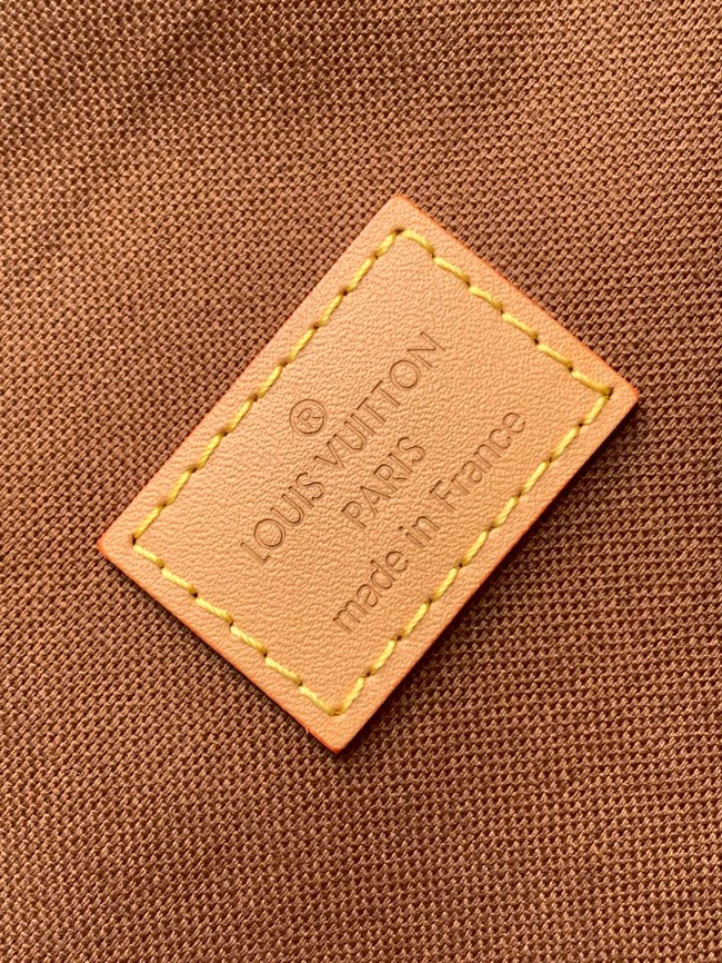 Louis Vuitton Backpack Montsouris EARLY ACCESS M45501