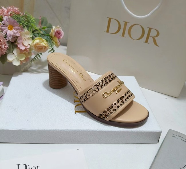 Dior shoes 55899-1