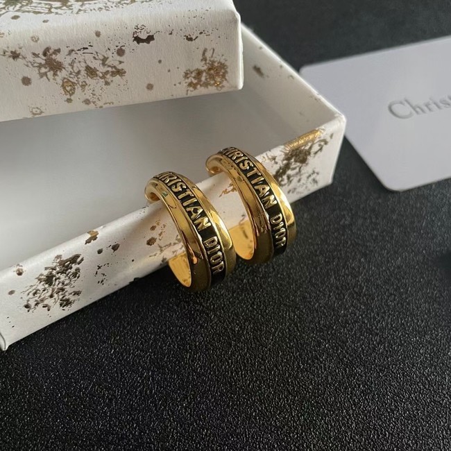 Dior Earring CE16543