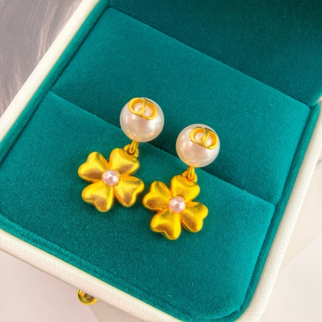 Dior Earring CE16728