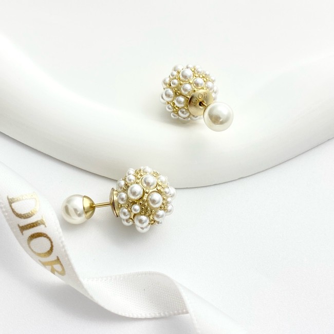 Dior Earring CE16841