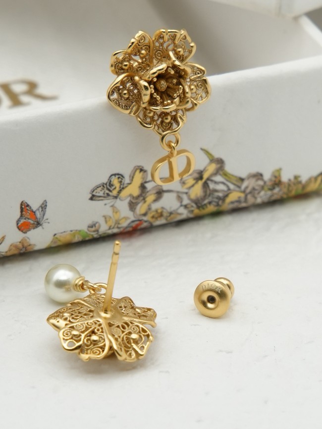 Dior Earring CE16989