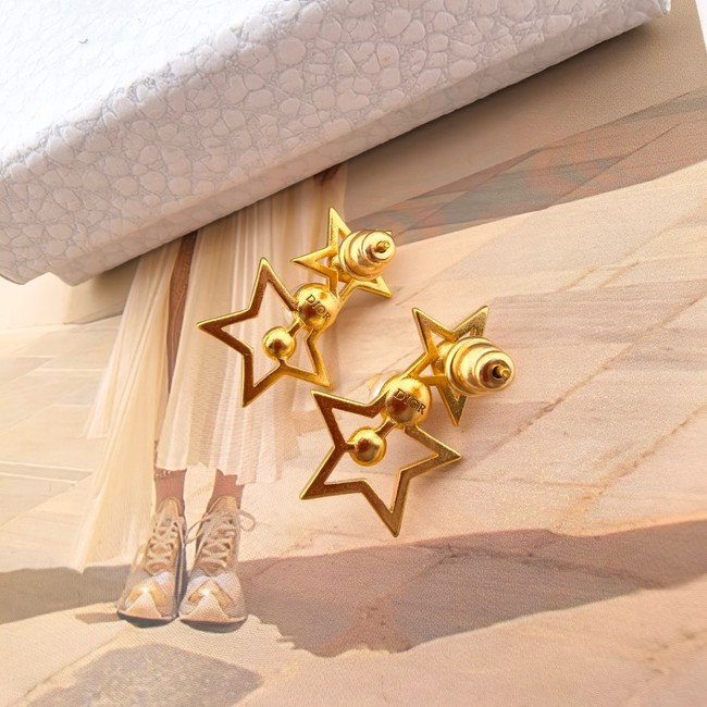 Dior Earring CE17006