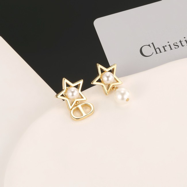 Dior Earrings CE80977