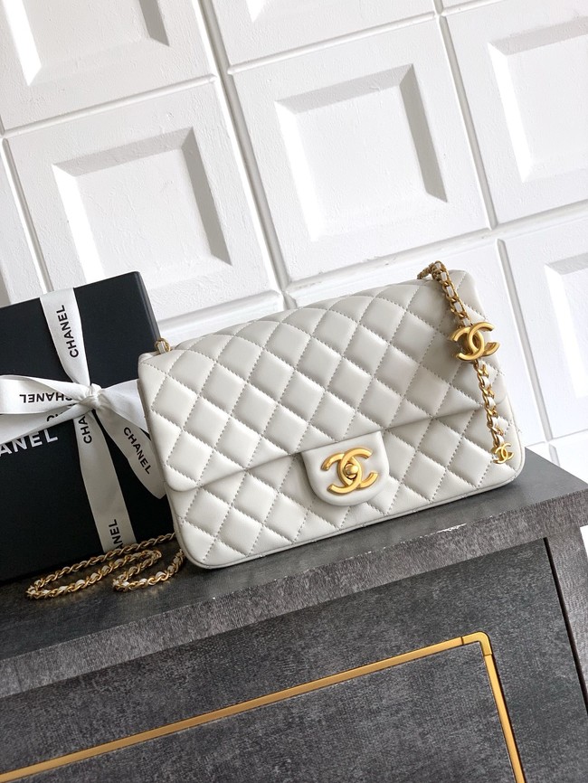 Chanel Flap Bag AS5756  Light Grey