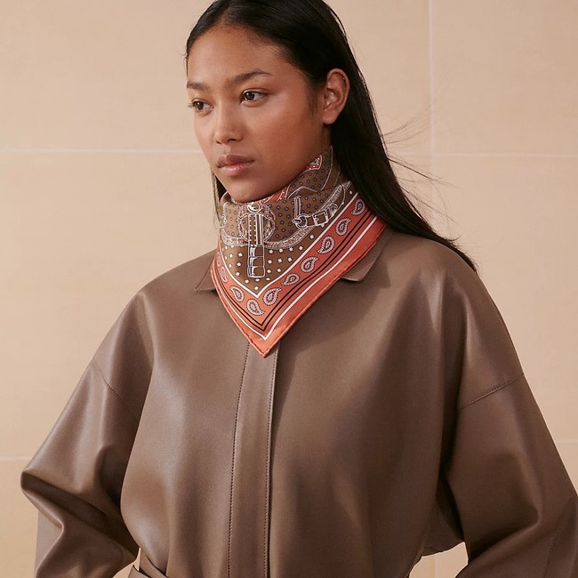 Hermes Shawl Cashmere and Silk Jacquard KY099