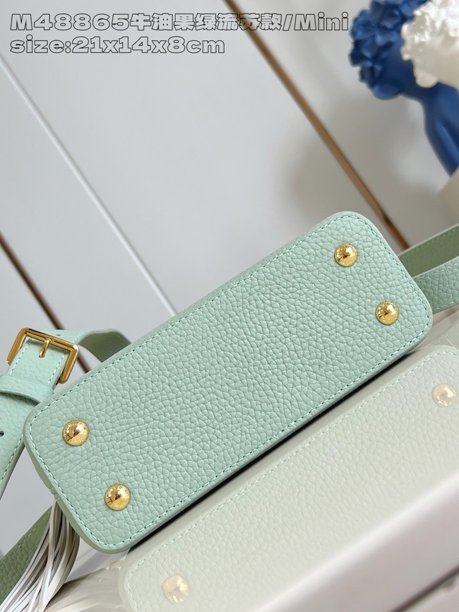 Louis Vuitton Capucines Mini M25497 green