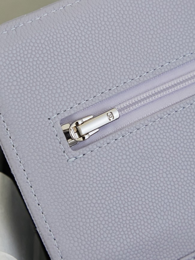 CHANEL Wallet On Chain AP3723 gray