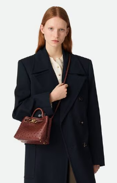 Bottega Veneta Mini Andiamo Sapele 805232 Sapele