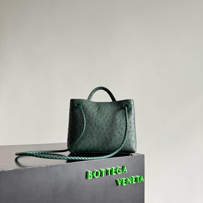 Bottega Veneta Small Andiamo 805231 Jungle